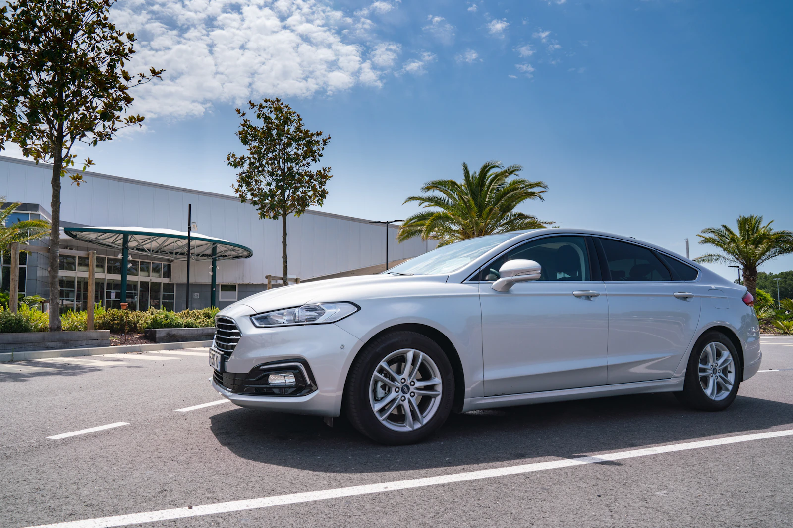 Premium chauffeur-driven sedan on a tree-lined coastal road in bright daylight